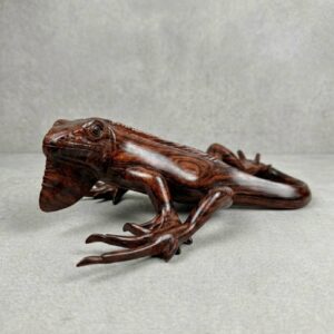 Iguana de monte - Cocobolo