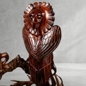 Águila Harpía en rama- Cocobolo