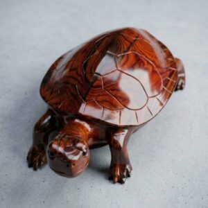 Tortuga Carey  - Cocobolo