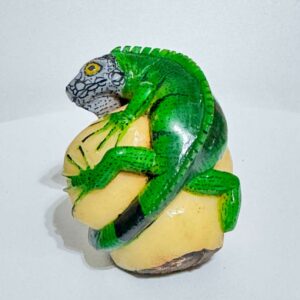 Iguana moracha - Tagua