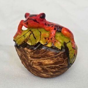 Rana pati amarilla - Tagua