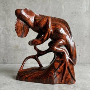 Iguana en rama - Cocobolo